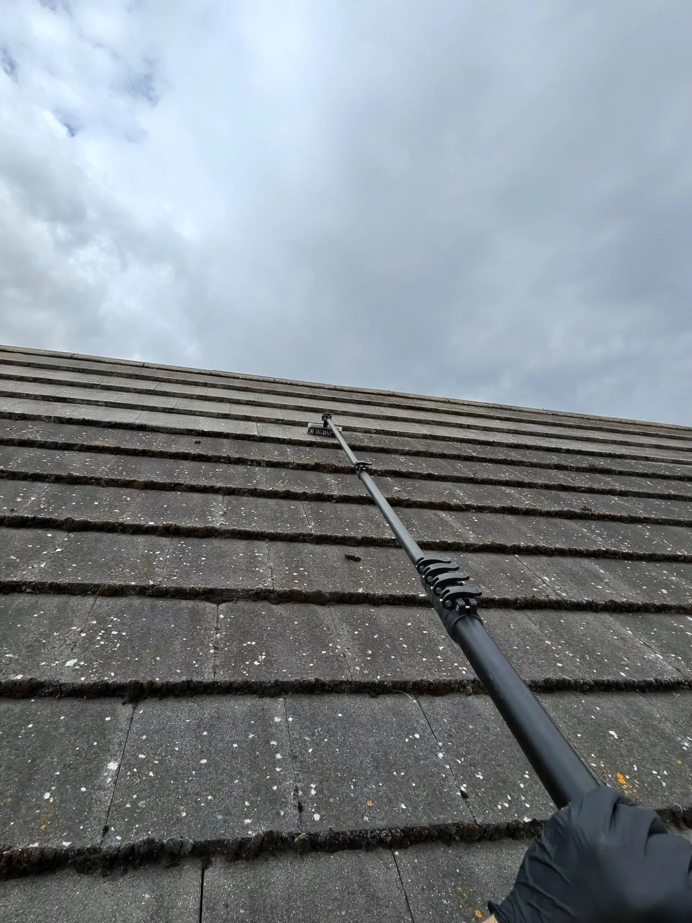 Professional roof cleaning and gutter clearance work