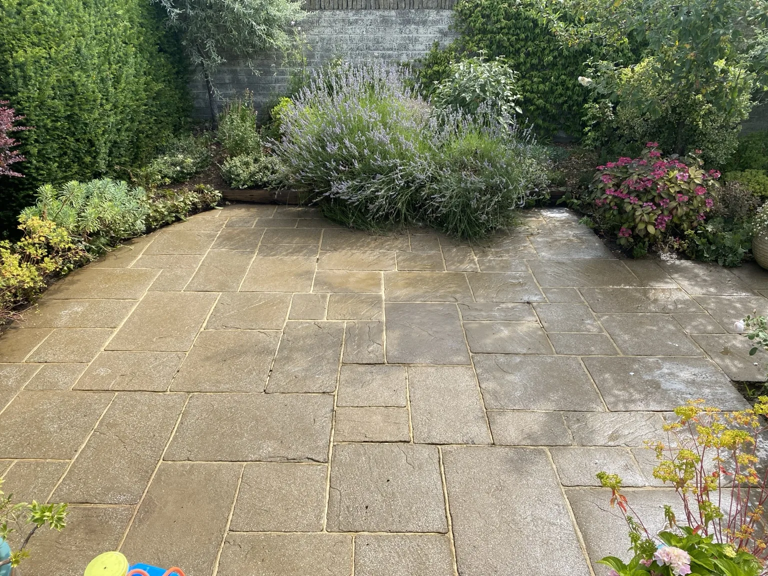 Completed exterior cleaning project 31